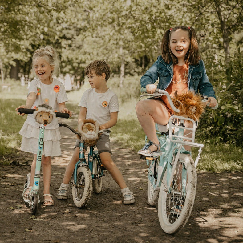 Wild & Soft Highland Cow Scooter Head