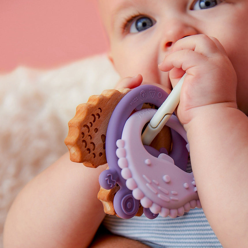 B.BOX Trio Teether - Peony