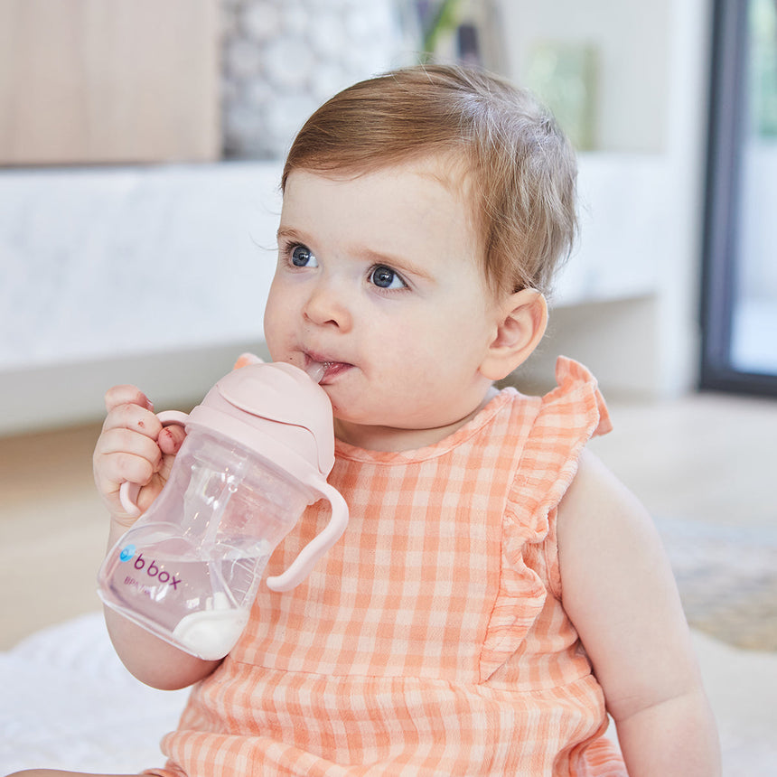 B.BOX Sippy Straw Cup 240ml - Blush