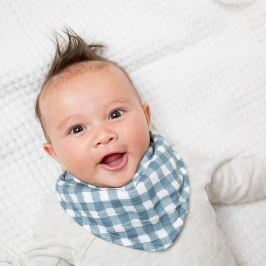 Lulujo Navy Gingham & Fish - Bandana Bibs 2 Pack