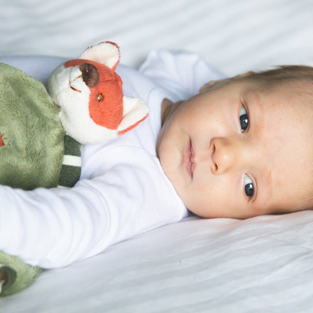 Bukowski Bears Foxy Blankie - Princess and the Pea Boutique