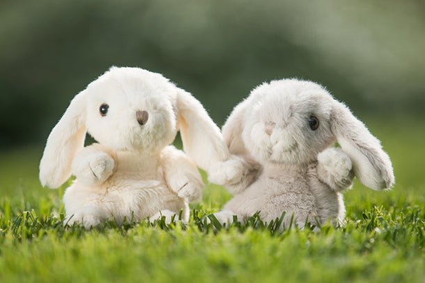 Bukowski Bears Kanini - Light Gray - Princess and the Pea Boutique