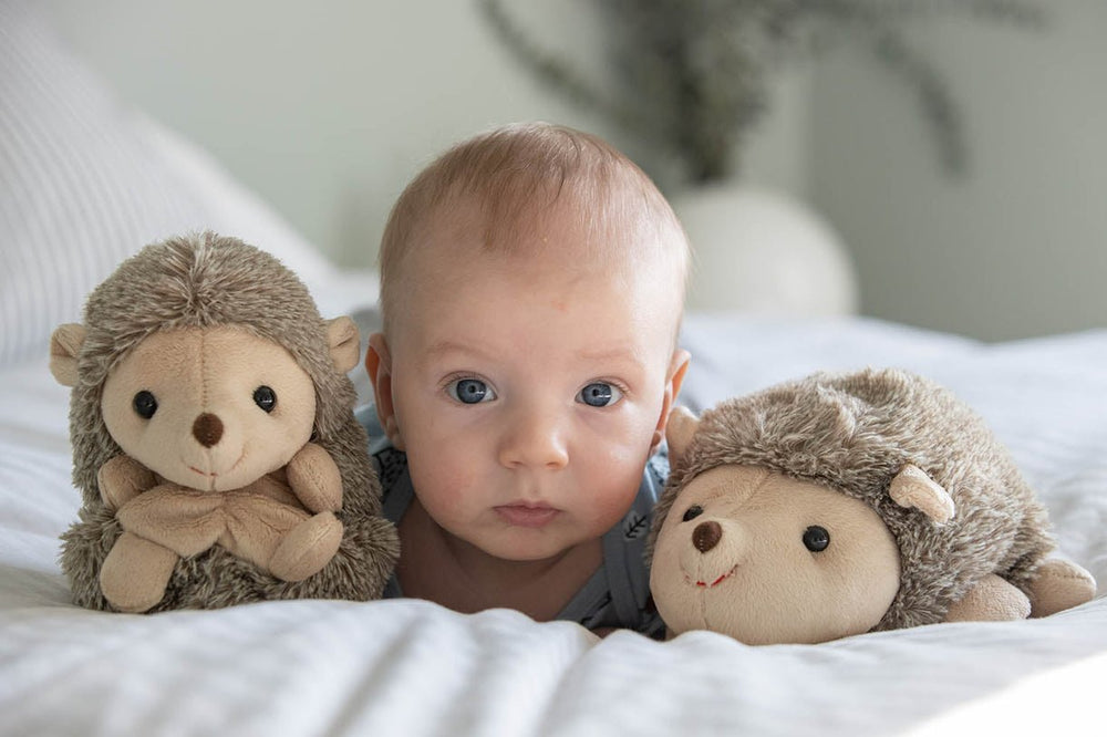 Bukowski Bears Sweet Hubert - Sitting - Princess and the Pea Boutique