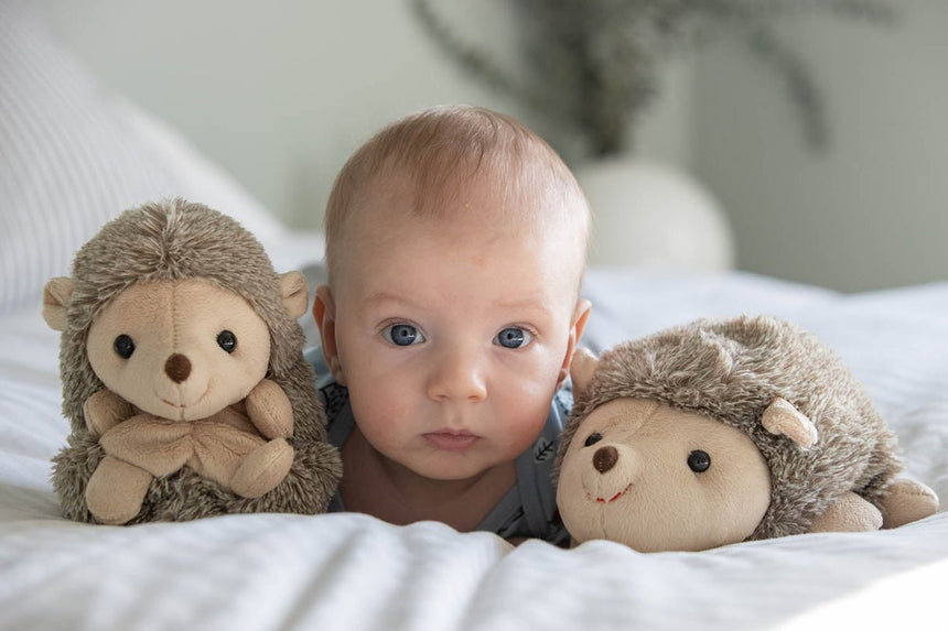 Bukowski Bears Sweet Hubert - Sitting - Princess and the Pea Boutique