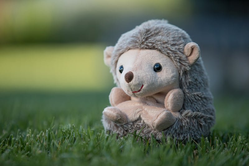 Bukowski Bears Sweet Hubert - Sitting - Princess and the Pea Boutique