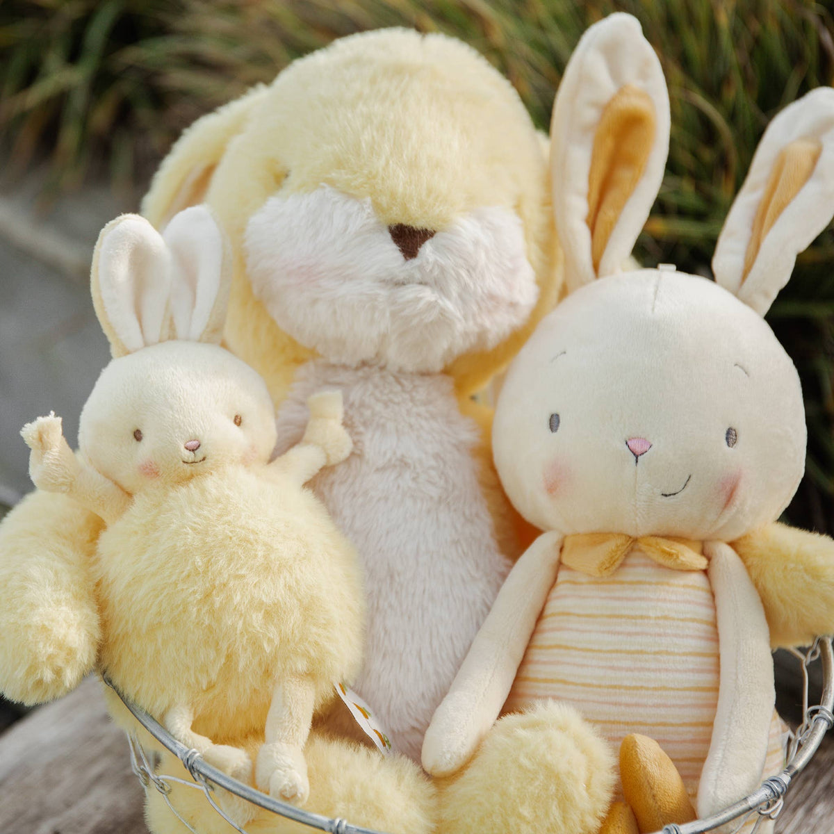 Jelly Buns - Lemon Jelly - Princess and the Pea Boutique