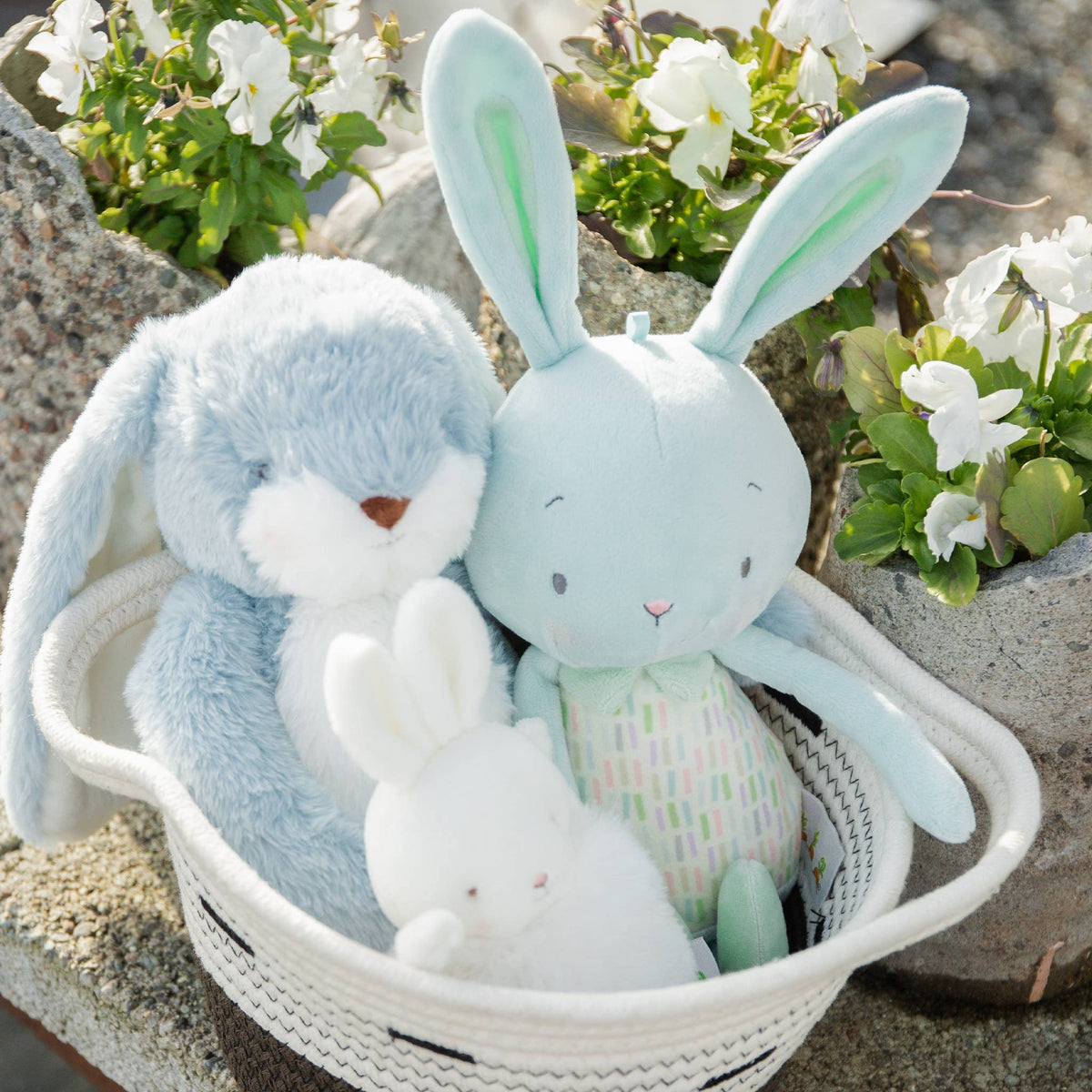 Jelly Buns - Mint Jelly - Princess and the Pea Boutique