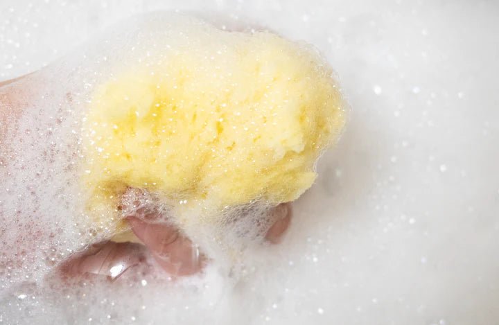 Loot Toy Co. Sandy The Sea Sponge - Princess and the Pea Boutique