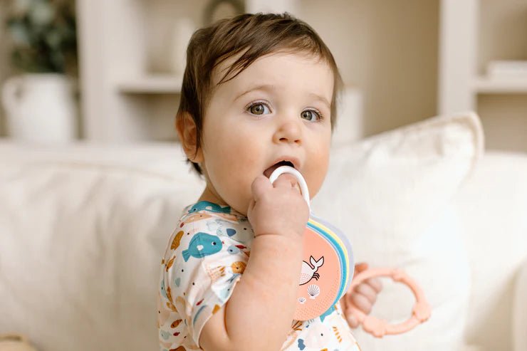 Loulou Lollipop Flashcards - Alphabets - Princess and the Pea Boutique