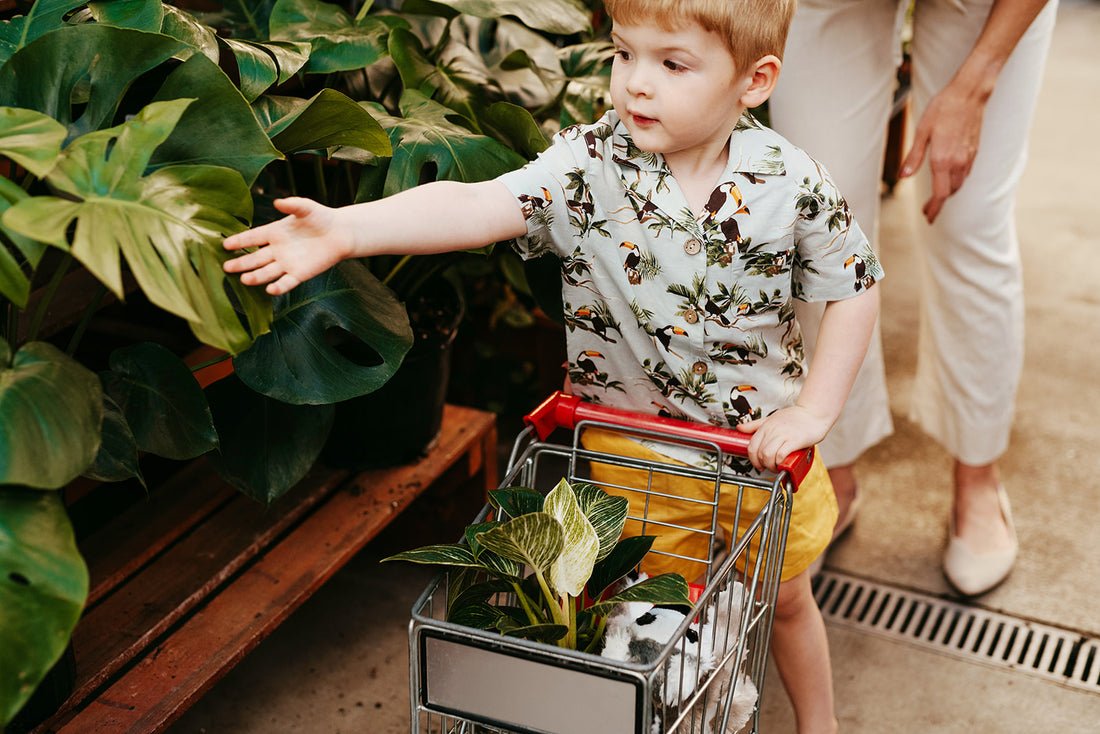Milkbarn Blue Sky Toucan Linen Button - Up Shirt and Shorts Set - Princess and the Pea Boutique
