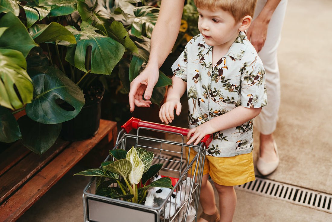 Milkbarn Blue Sky Toucan Linen Button - Up Shirt and Shorts Set - Princess and the Pea Boutique