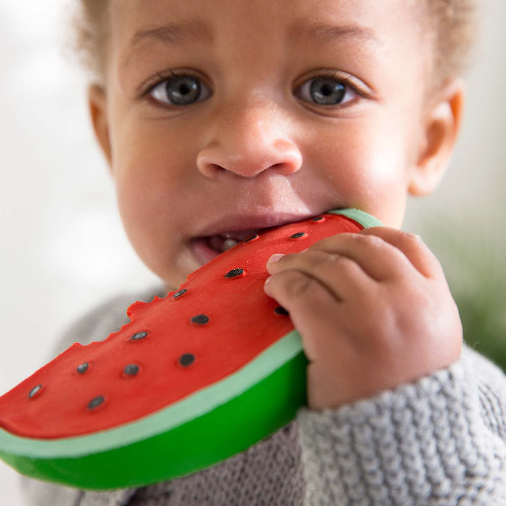 Oli & Carol Wally the Watermelon Baby Teether - Princess and the Pea Boutique