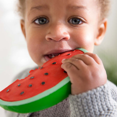 Oli & Carol Wally the Watermelon Baby Teether - Princess and the Pea Boutique