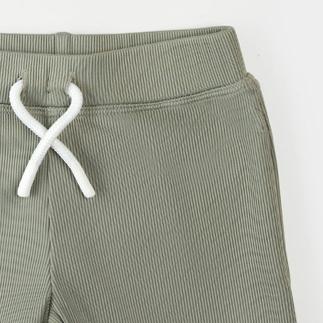 Petit Lem Beach Dinos & Sage Rashguard Set - Princess and the Pea Boutique