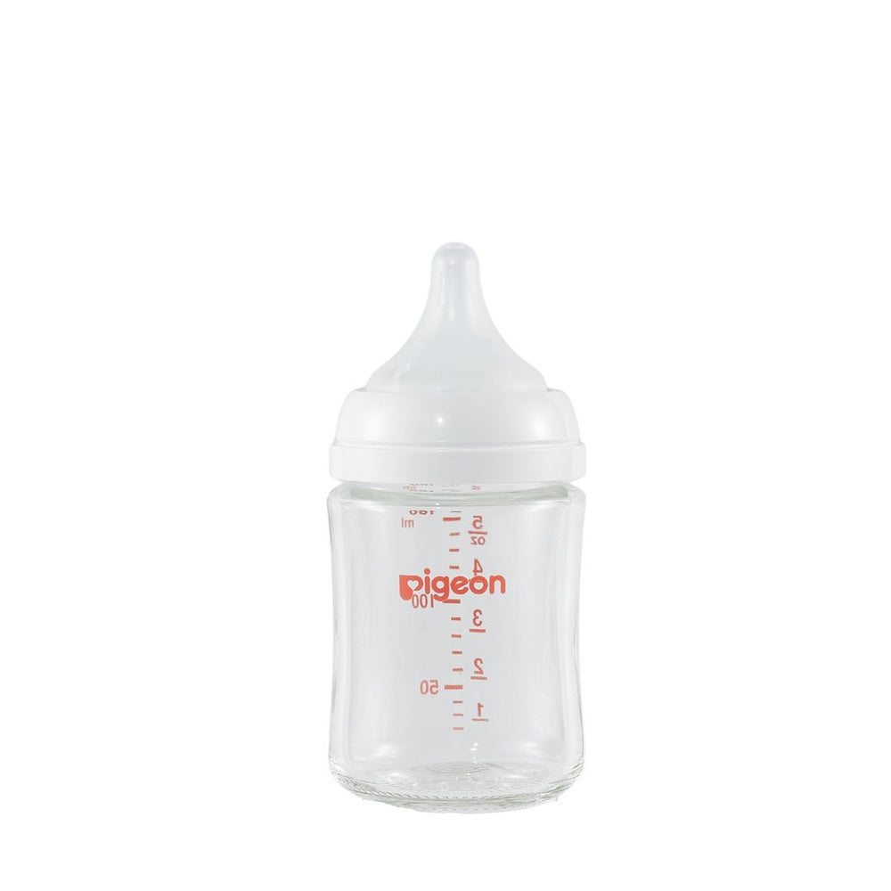 Pigeon Glass Bottle 5oz (1 - Pack) with SS Nipple 0M+ - Princess and the Pea Boutique