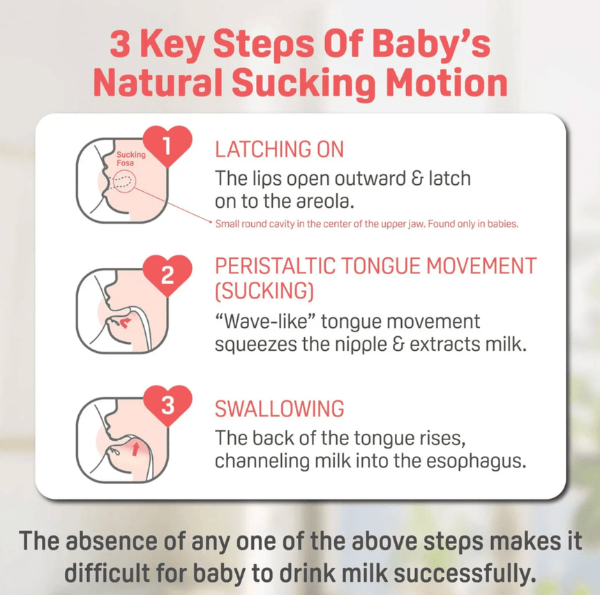 Pigeon - PPSU Bottle 8oz/240ml with M Nipple 3M+ (1 - Pack) - Princess and the Pea Boutique