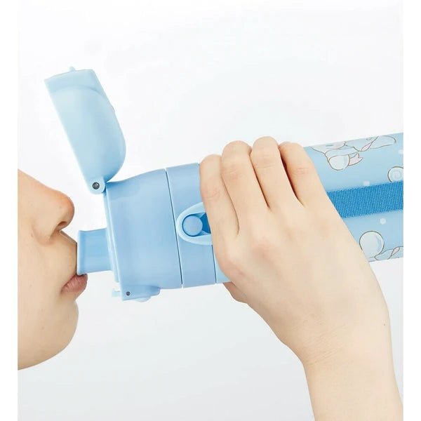 Skater Stainless Steel Water Bottle with Compact Lock Cinnamoroll 470ml - Princess and the Pea Boutique