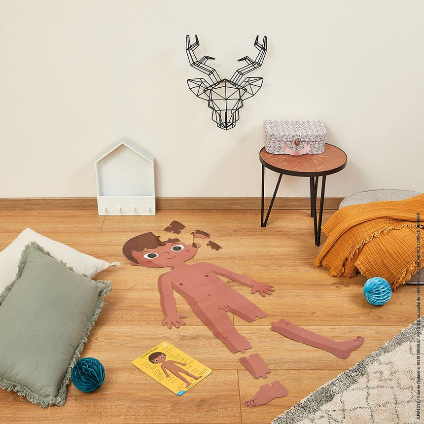 4 in 1 Educational Puzzle - Human Body - Princess and the Pea