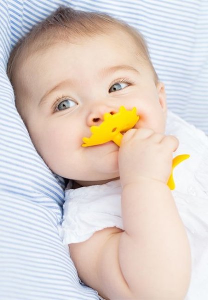 EZ GRIP TEETHER - GRAPE - Princess and the Pea