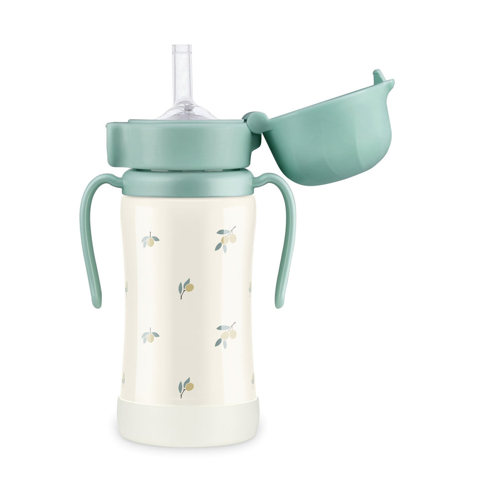 Grosmimi STAINLESS Straw CUP With One Touch Cap - Olive Pistachio - Princess and the Pea