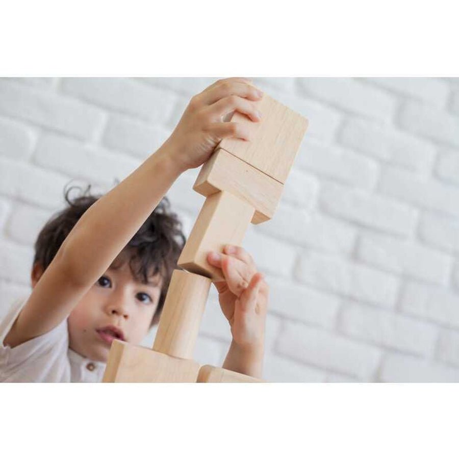PlanToys 50 Unit Blocks - Princess and the Pea