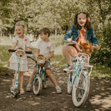 Wild & Soft Highland Cow Scooter Head