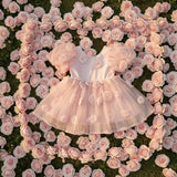 DOLLY The Rose Garden Tulle V-back Puff Dress - Dolly Pink