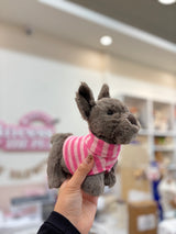 MON AMI - Darcy French Bulldog