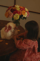 Konges Slojd Ally Long Sleeve Flower Dress
