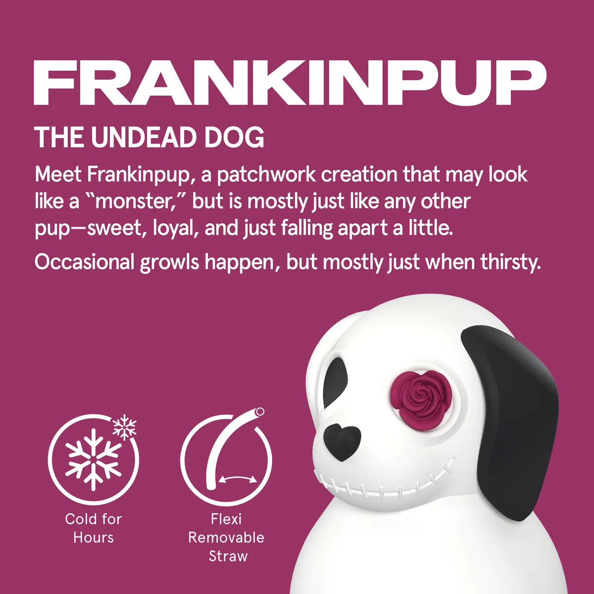 Asobu Maxi Undead Dog Spookie Bottle