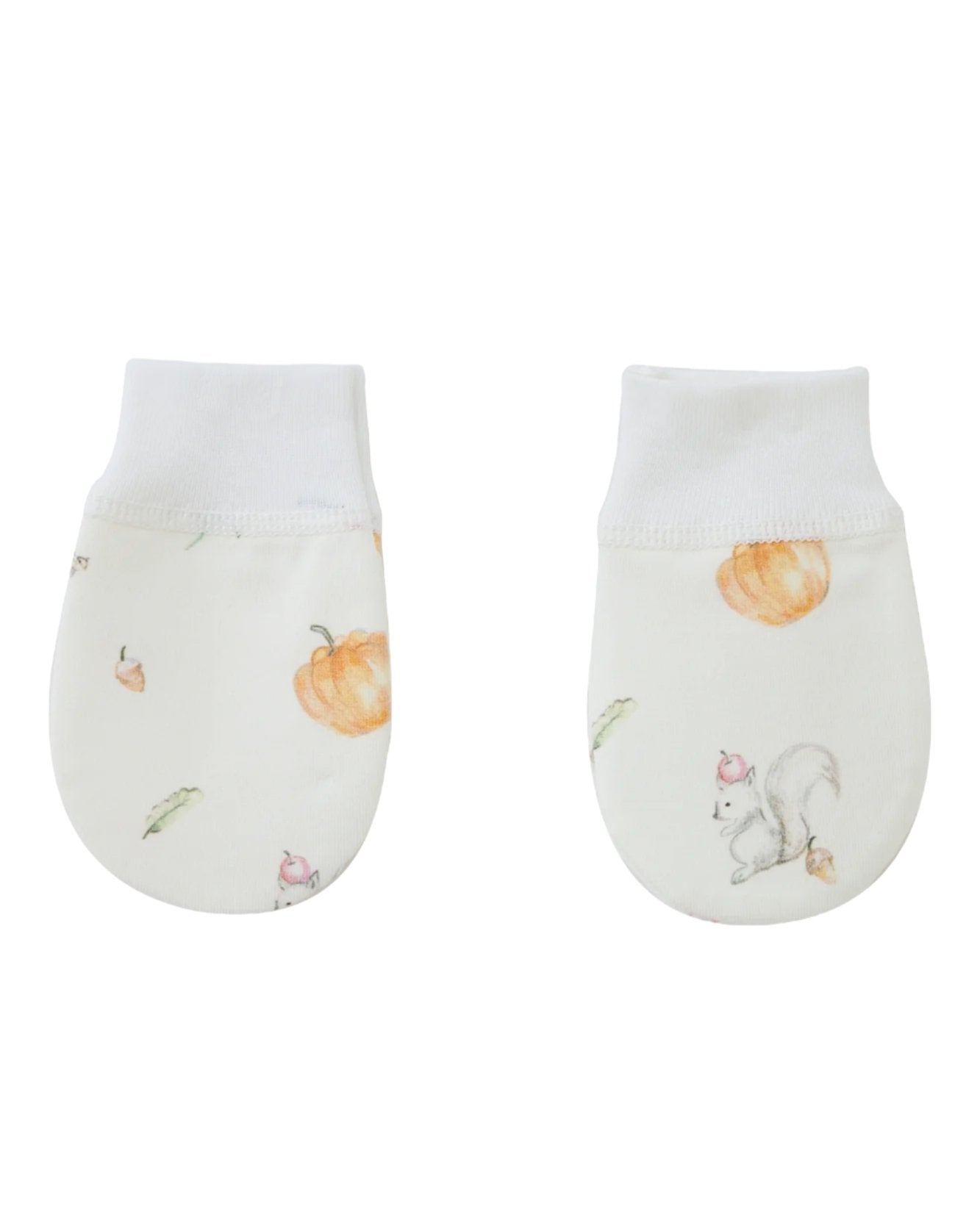 Blara Organic House - Newborn Gift Set Fall Print - Princess and the Pea Boutique