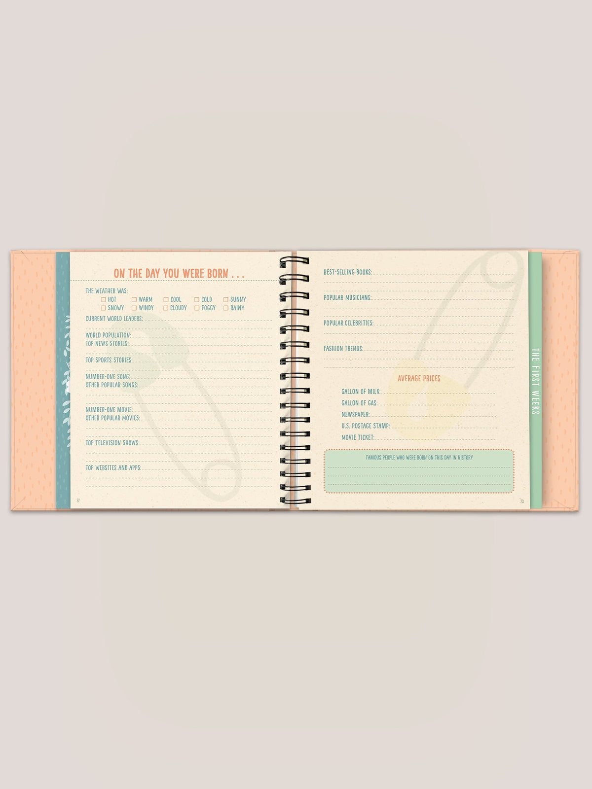 Bundle of Joy! Baby's First Years Journal - Princess and the Pea Boutique