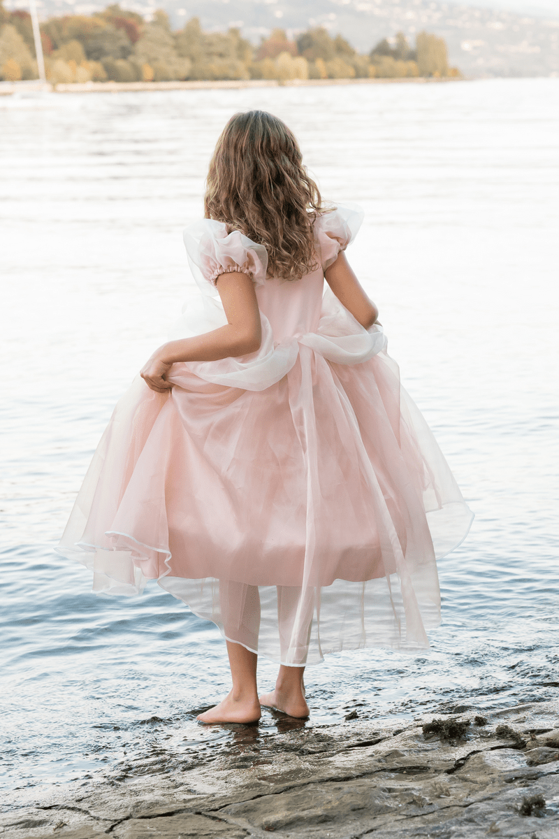 Great Pretenders - Antique Princess Gown - Princess and the Pea Boutique