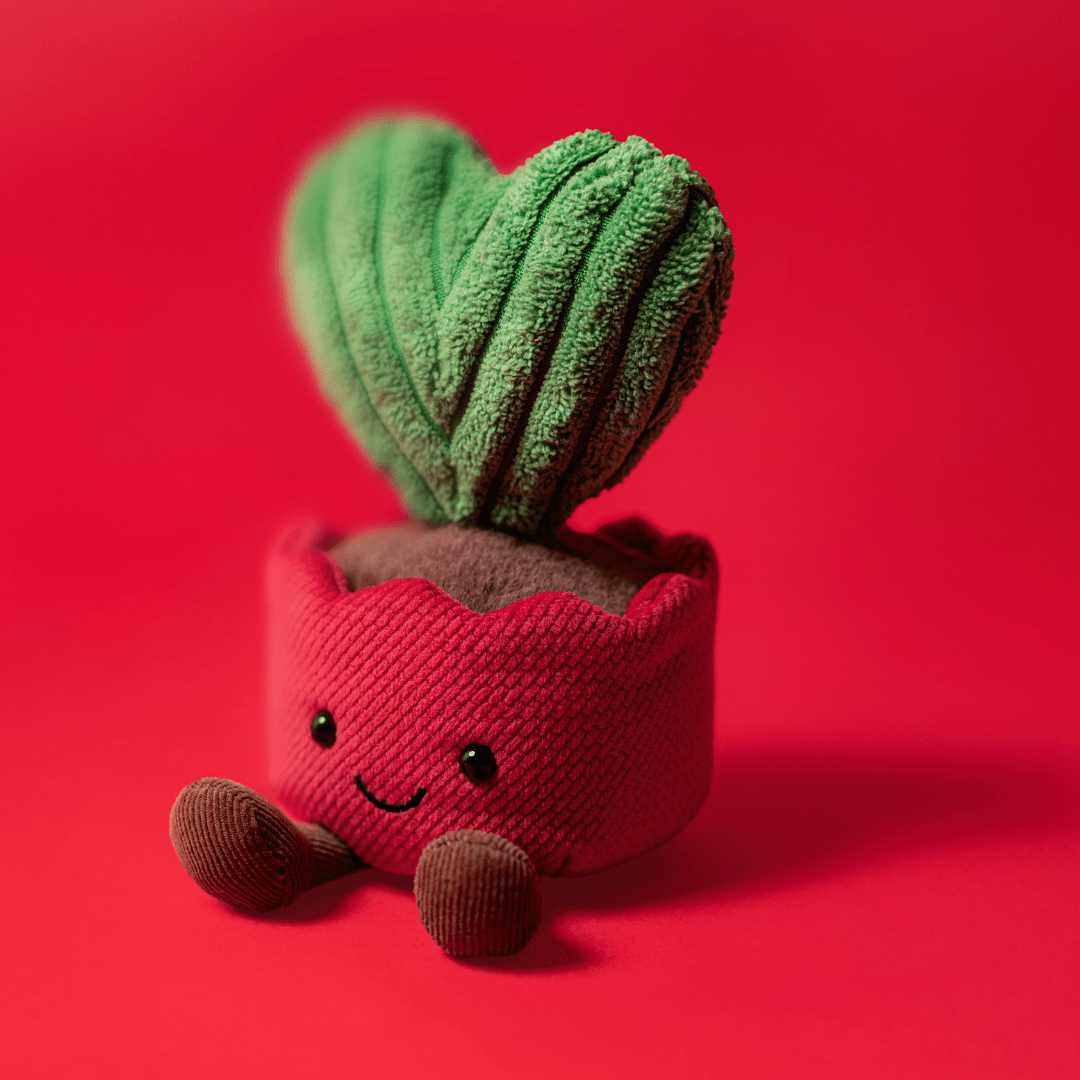 Jellycat Amuseables Kerrii Cactus - Princess and the Pea Boutique