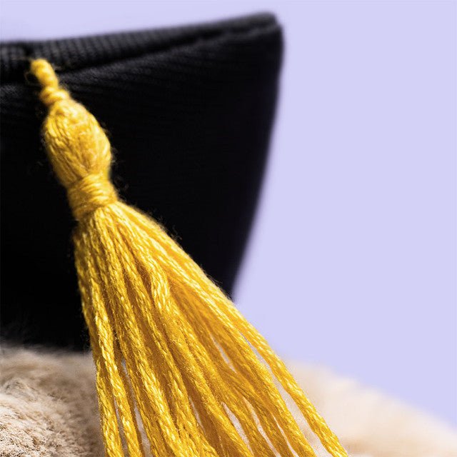 Jellycat Bashful Bunny Graduation Outfit - Princess and the Pea Boutique