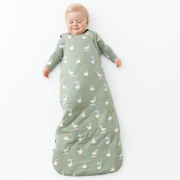 Kyte Baby Sleep Bag in Silly Goose 2.5 - Princess and the Pea Boutique