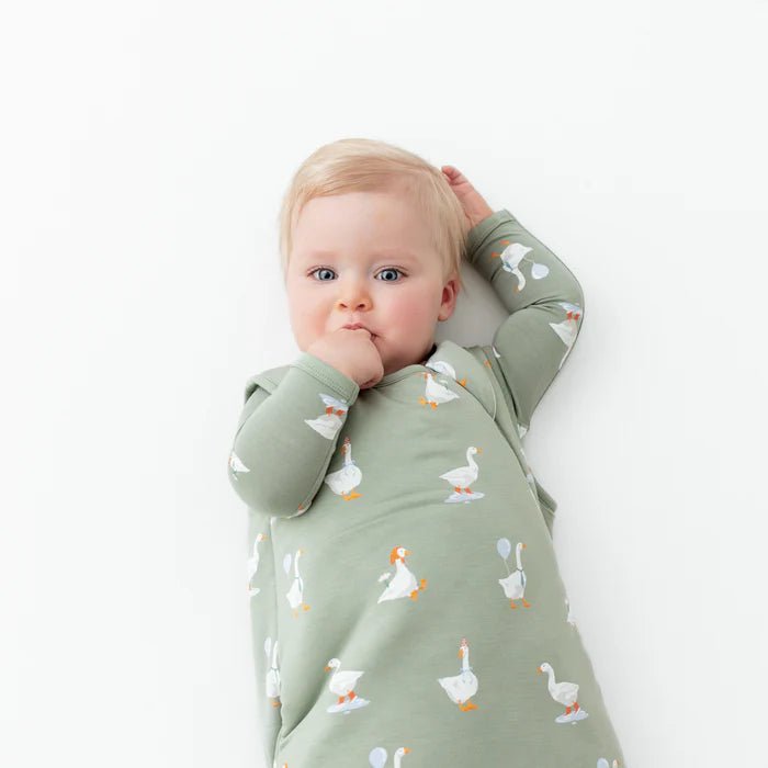 Kyte Baby Sleep Bag in Silly Goose 2.5 - Princess and the Pea Boutique