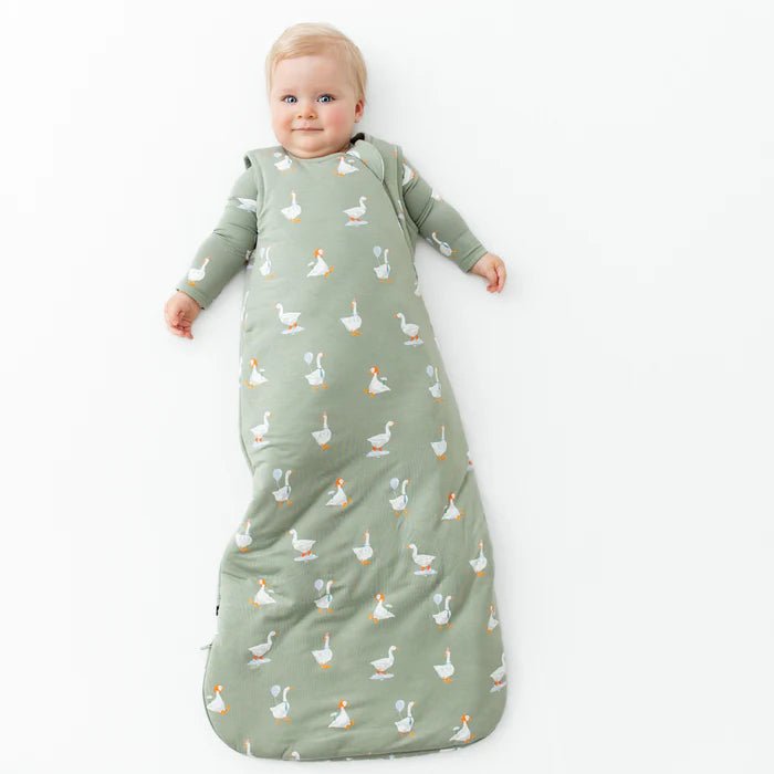 Kyte Baby Sleep Bag in Silly Goose 2.5 - Princess and the Pea Boutique
