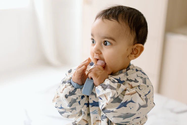 Loulou Lollipop Long Sleeve Bib - Sharks - Princess and the Pea Boutique