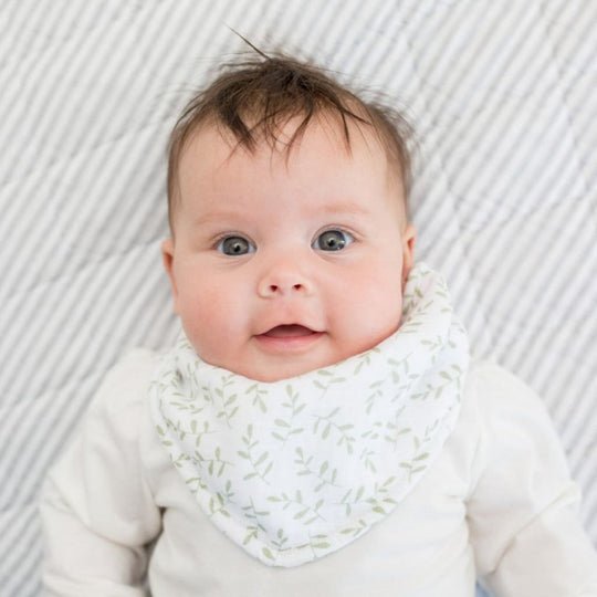 Lulujo Daisies & Greenery - Bandana Bibs 2 Pack - Princess and the Pea Boutique