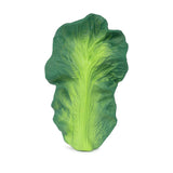 Oli & Carol Kendall the Kale Baby Teether - Princess and the Pea Boutique