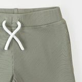 Petit Lem Beach Dinos & Sage Rashguard Set - Princess and the Pea Boutique