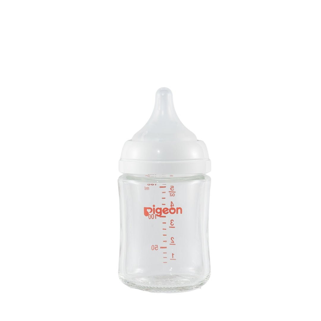 Pigeon Glass Bottle 5oz (1 - Pack) with SS Nipple 0M+ - Princess and the Pea Boutique