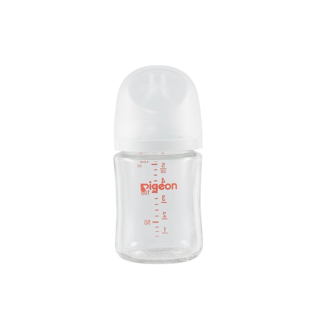 Pigeon Glass Bottle 5oz (1 - Pack) with SS Nipple 0M+ - Princess and the Pea Boutique