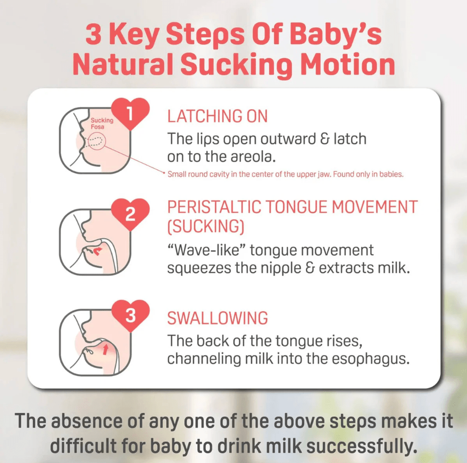 Pigeon - PPSU Bottle 8oz/240ml with M Nipple 3M+ (1 - Pack) - Princess and the Pea Boutique