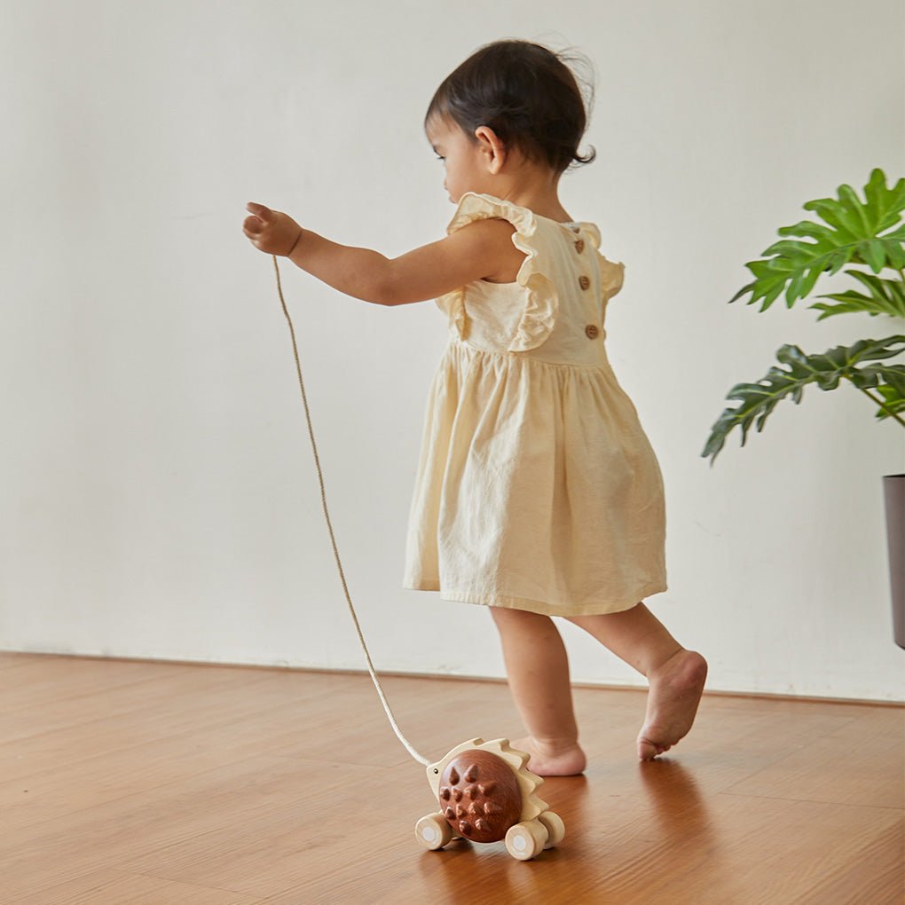 PlanToys Pull-Along Hedgehog - Princess and the Pea Boutique