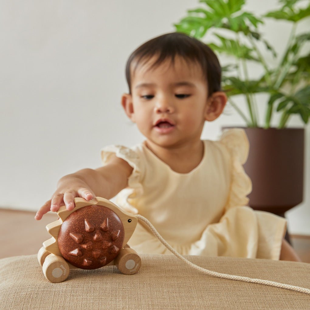 PlanToys Pull-Along Hedgehog - Princess and the Pea Boutique