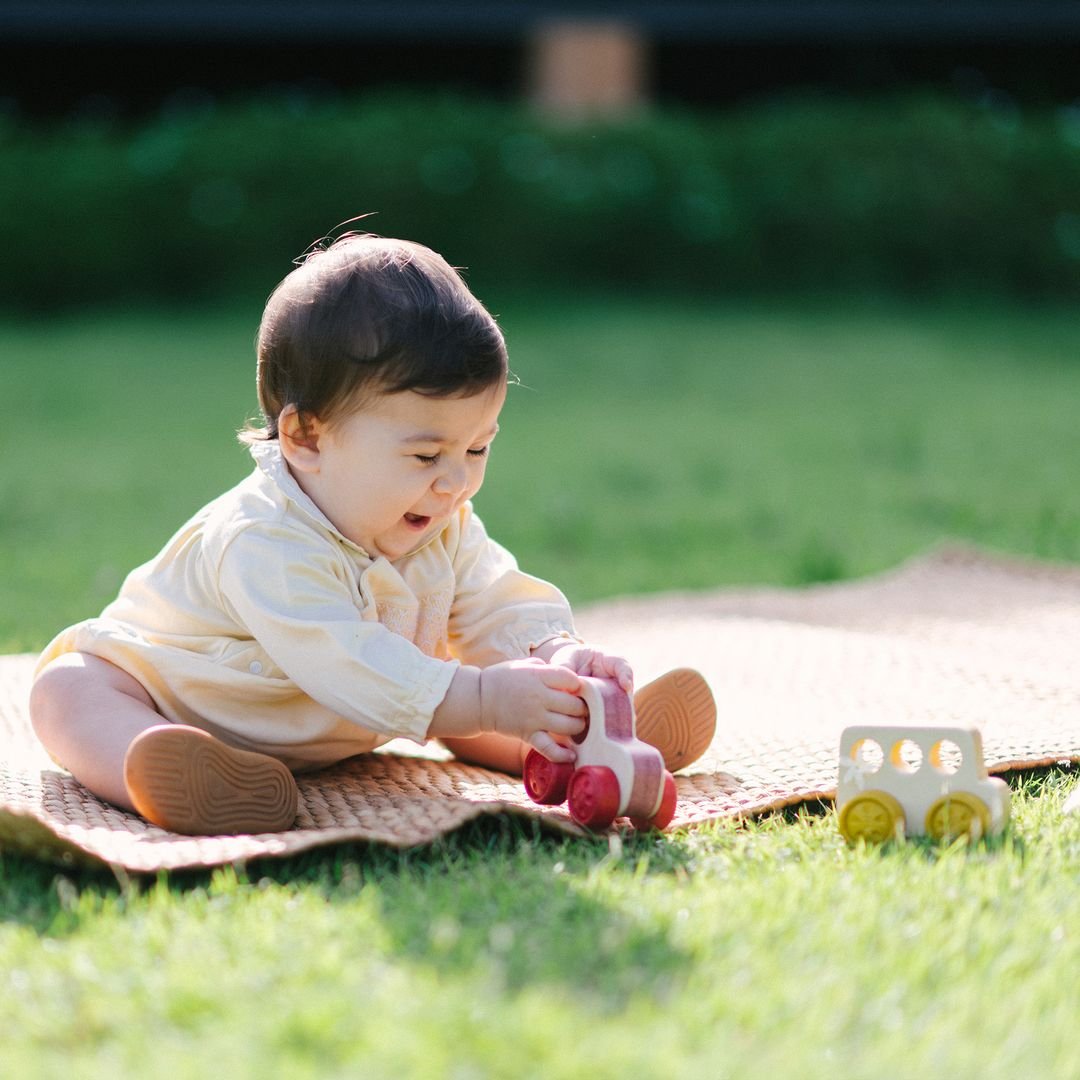 PlanToys Timber Trail Cruiser - Princess and the Pea Boutique