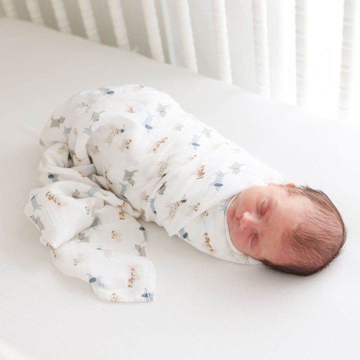 Lulujo Puppy Dog &amp; Stars - Lot de 2 langes en coton