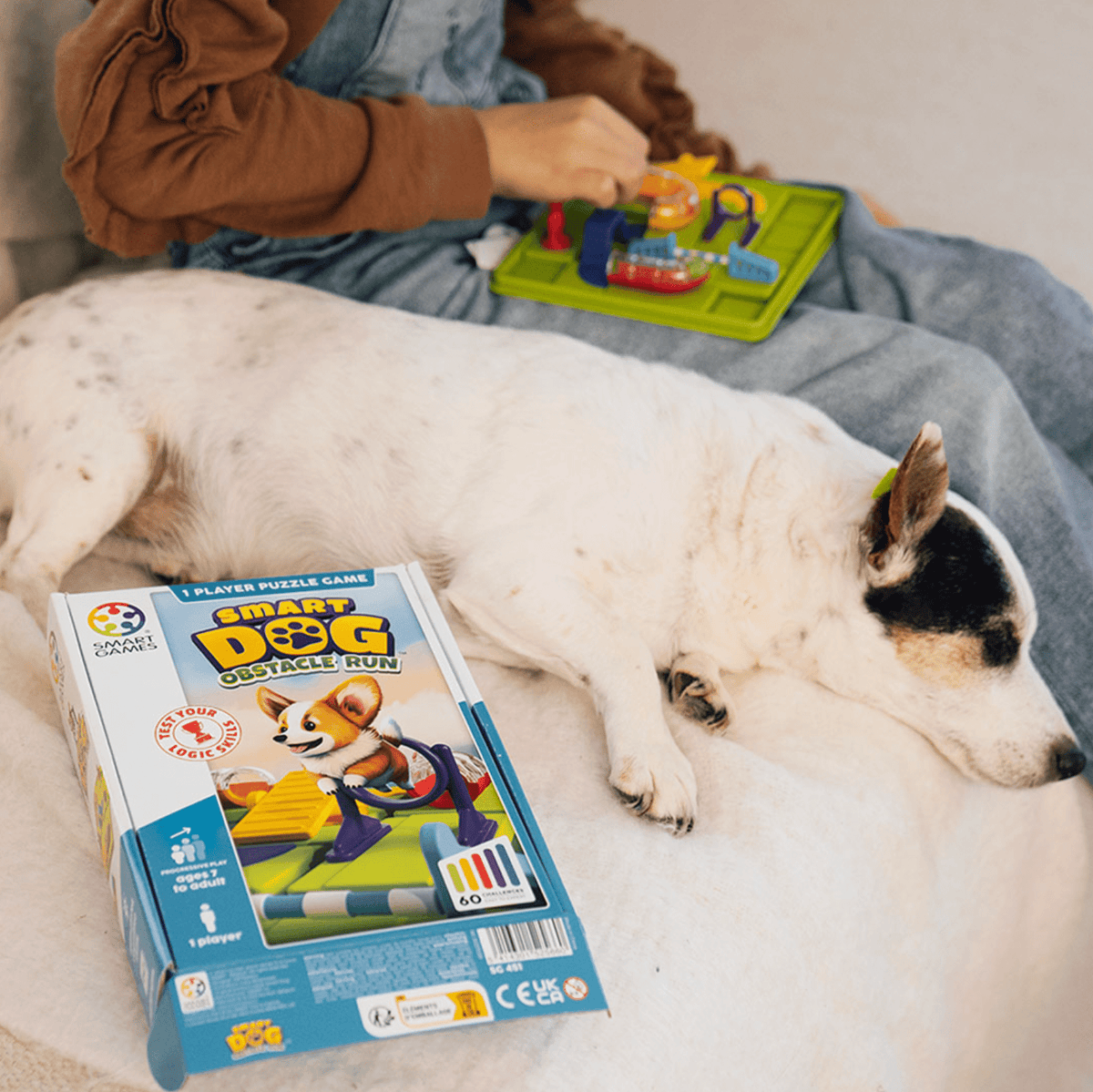 Smart Games Dog Obstacle Run - Princess and the Pea Boutique